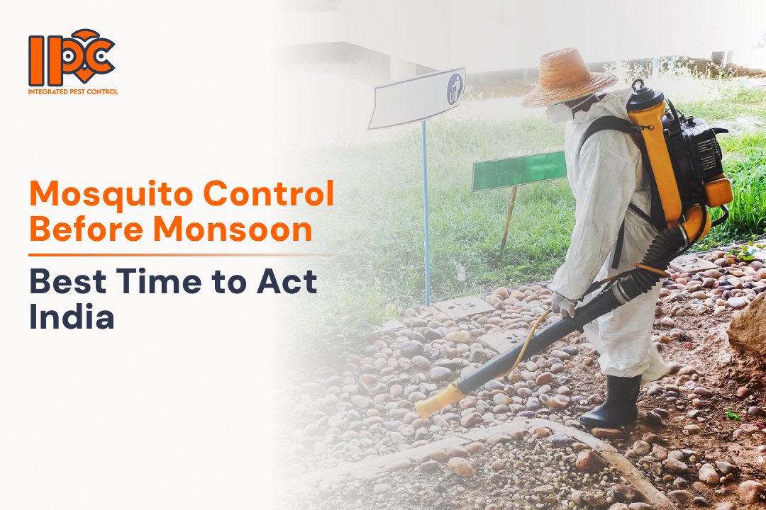 Mosquito Control Before Monsoon | Best Time to Act India
